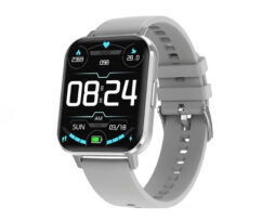 SmartWatch Silicone Strap ITR-SDTX Silver